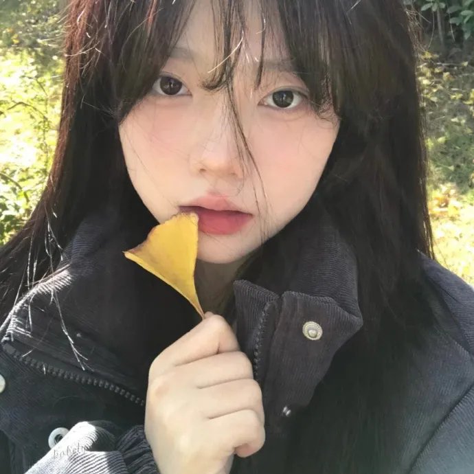 不能没有家